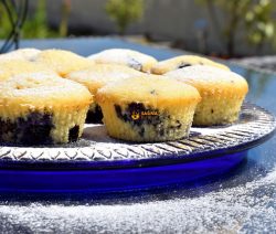 Muffins With Blueberries and Chocolate Recipe food video recipes
